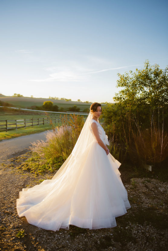 A bride in a flowing white wedding dress and veil stands outdoors on a sunlit path, surrounded by greenery, fields, and a wooden fence under a clear blue sky. by Justin Salem Meyer