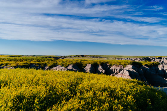 A wide landscape view of yellow wildflowers in the foreground, rocky formations in the midground, and an expansive blue sky with scattered clouds above. by Justin Salem Meyer
