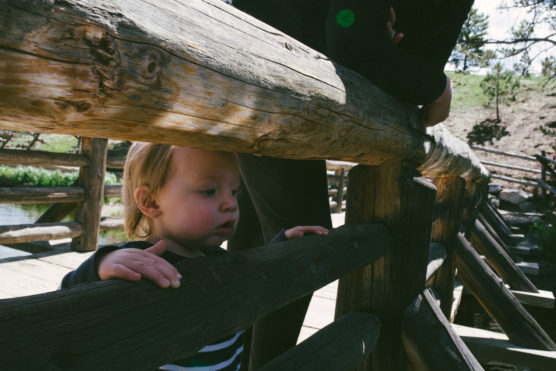 A young child stands on a wooden bridge, looking through the railings while holding onto them. An adult’s arm rests on the railing nearby. Sunlight filters through the trees in the background. by Justin Salem Meyer