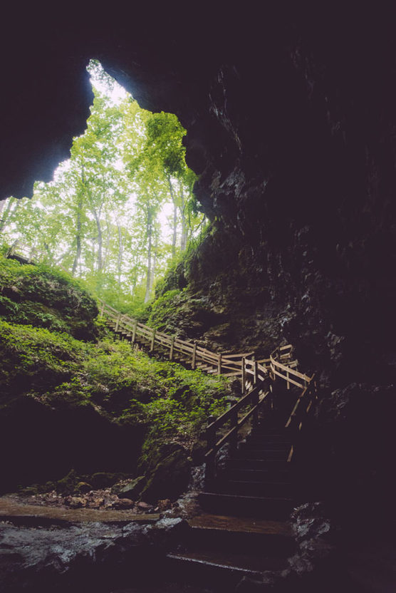 View from inside a cave looking out toward lush green trees, with a wooden staircase leading up and out of the cave entrance, surrounded by moss-covered rocks. by Justin Salem Meyer