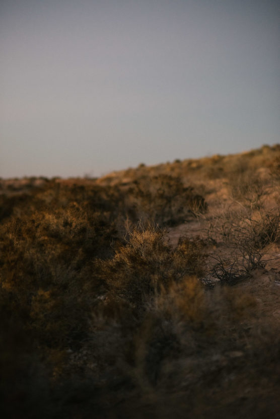 Dry, sunlit desert landscape with sparse, brown shrubs and grasses covering the sandy ground. The sky above is clear with a soft gradient from light to darker blue as the sun sets or rises. by Justin Salem Meyer