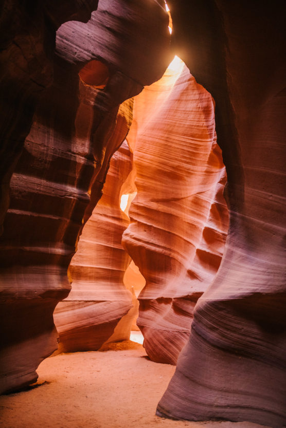 Sunlight streams through the narrow, curving, red and orange sandstone walls of Antelope Canyon, creating glowing highlights and deep shadows on the smooth, sculpted surfaces. by Justin Salem Meyer