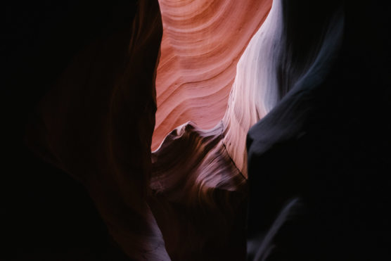 A narrow view of a sandstone canyon with smooth, wavy walls in shades of brown and pink, illuminated by soft natural light filtering from above, highlighting the rocks layered textures. by Justin Salem Meyer