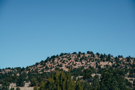A gently sloping hill covered with scattered shrubs and small trees under a clear blue sky. by Justin Salem Meyer