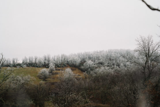 A foggy landscape with leafless trees and shrubs, some covered in frost or light snow, on rolling hills under an overcast sky. The atmosphere looks cold and wintry. by Justin Salem Meyer