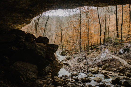 View from inside a rocky cave looking out onto a forest with bare trees and orange leaves; a stream runs through the scene with rocks scattered along the ground. by Justin Salem Meyer
