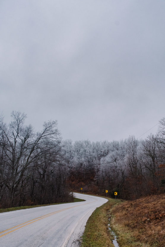 A winding road curves through a leafless forest under an overcast sky. Frost covers the trees, and yellow road signs mark the curve ahead. Grass lines the roadside, and the scene appears cold and wintry. by Justin Salem Meyer