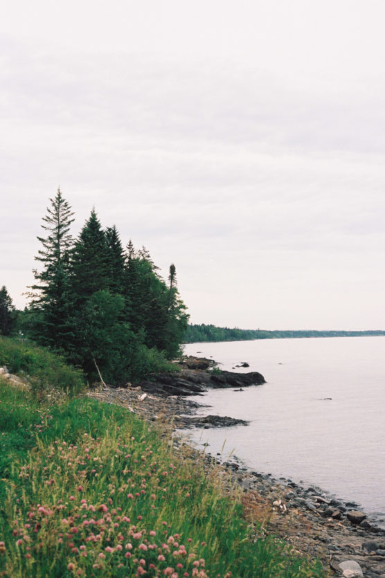 A rocky shoreline lined with wildflowers and tall evergreen trees overlooks calm, pale water under a cloudy sky. The scene is peaceful, natural, and serene. by Justin Salem Meyer
