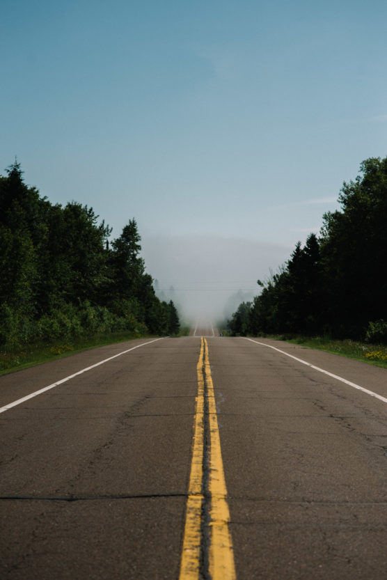 A paved road with a double yellow line runs straight ahead, flanked by green trees, vanishing into mist or fog under a clear blue sky. by Justin Salem Meyer