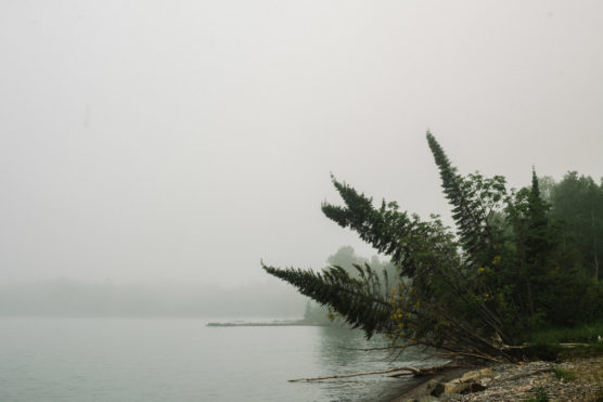 A misty lakeshore with calm water, leaning evergreen trees, and a rocky shoreline. Dense fog obscures the distant background, creating a tranquil, serene atmosphere. by Justin Salem Meyer