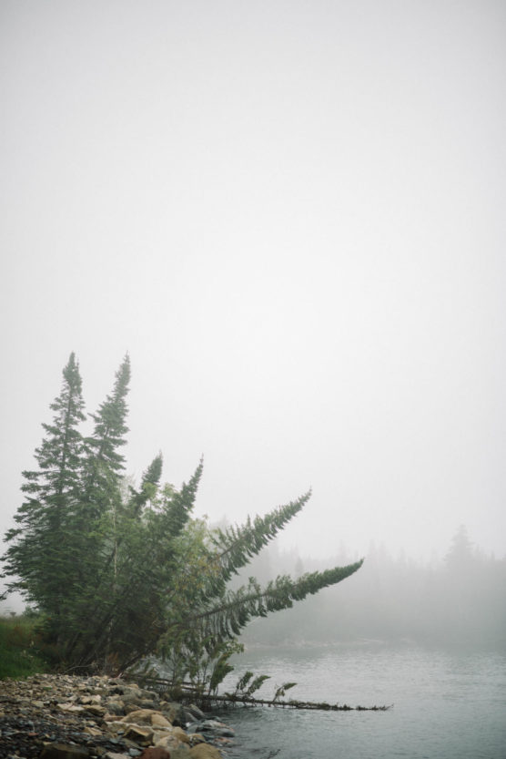 Misty lakeshore with evergreen trees leaning over the water, rocky shoreline in the foreground, and dense fog obscuring the background. by Justin Salem Meyer
