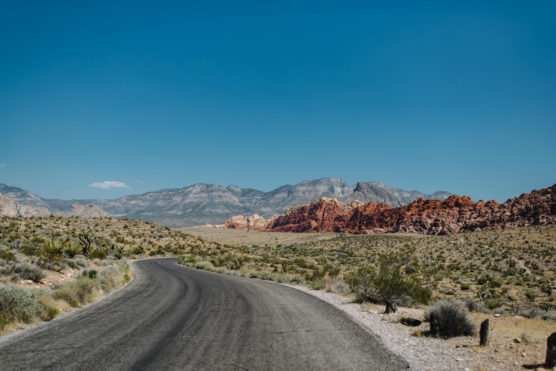 A winding road curves through a desert landscape with sparse vegetation, leading towards rocky red mountains under a clear blue sky. by Justin Salem Meyer
