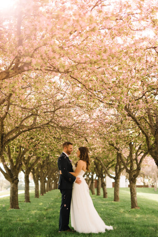 A bride and groom stand embracing beneath a canopy of blooming pink cherry blossom trees, with petals gently falling around them on a sunny day. by Justin Salem Meyer