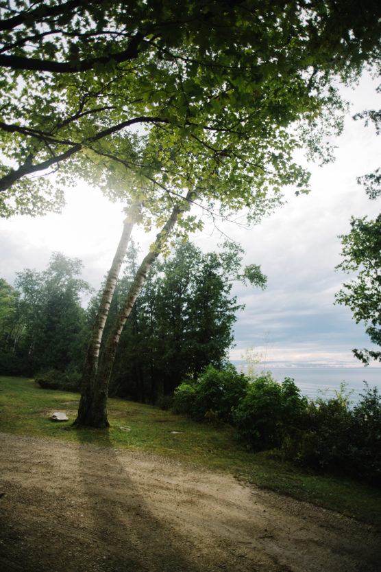 Sunlight filters through leafy green trees along a dirt path, with a grassy area, dense forest, and a distant view of water and sky in the background. by Justin Salem Meyer