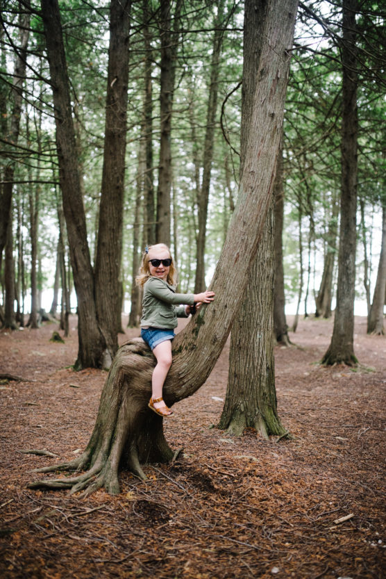 A young child wearing sunglasses sits on the curved trunk of a tree in a forest, surrounded by tall trees and brown fallen leaves on the ground. by Justin Salem Meyer