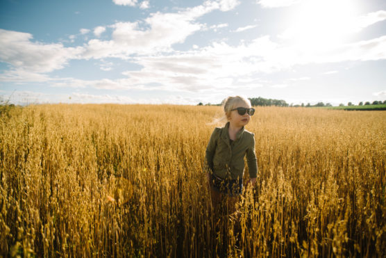A young child with blond hair and sunglasses stands in a golden field of tall grass under a bright, sunny sky with scattered clouds. by Justin Salem Meyer
