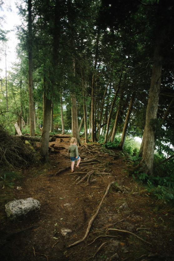A child walks alone on a forest path with exposed tree roots, surrounded by tall trees and green foliage, under soft natural light. by Justin Salem Meyer