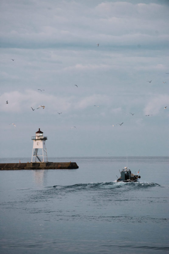 A small boat sails near a white lighthouse on a breakwater, with many seagulls flying overhead under a cloudy sky. by Justin Salem Meyer