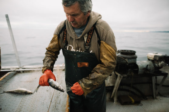 A fisherman wearing gloves and overalls removes a fish from a net on a boat, with overcast skies and calm water in the background. by Justin Salem Meyer