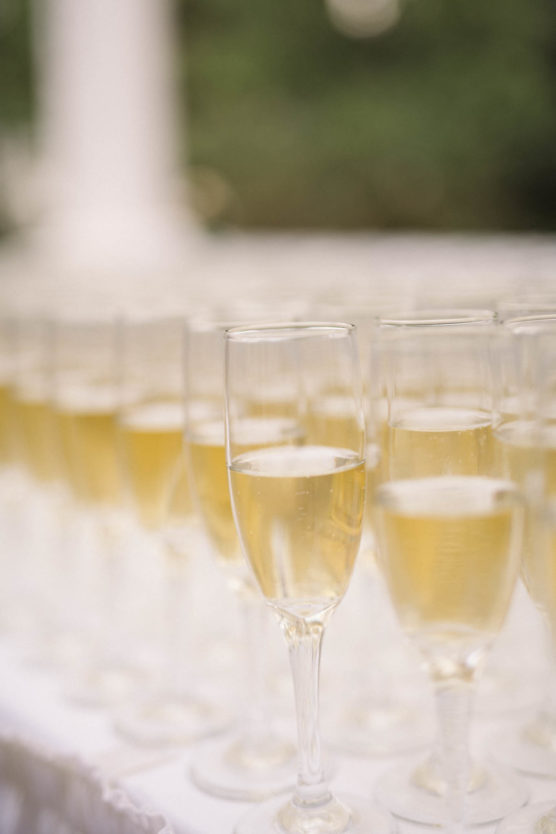 Rows of champagne flutes filled with sparkling wine are arranged on a white tablecloth, with a soft-focus green and white background suggesting an elegant outdoor event or celebration. by Justin Salem Meyer