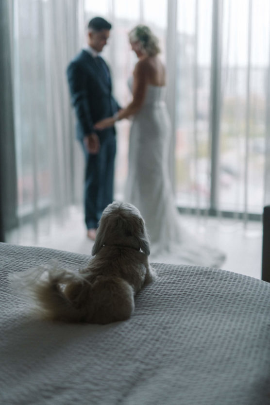 A small dog lies on a bed in the foreground, watching a couple dressed in wedding attire holding hands and standing near a large window with sheer curtains in the background. by Justin Salem Meyer