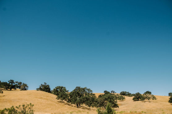 Rolling hills covered in dry golden grass with scattered green trees under a clear blue sky. by Justin Salem Meyer