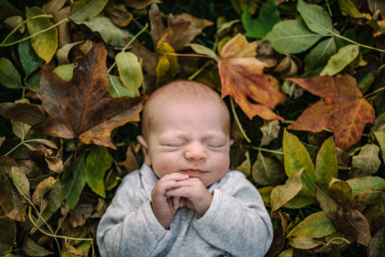 A newborn baby in a gray outfit lies with eyes closed among colorful autumn leaves, hands gently clasped near their face. by Justin Salem Meyer