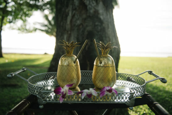 Two gold pineapple-shaped cups with straws sit on a decorative silver tray, adorned with purple and white orchids, outdoors in a sunny, green park with a large tree in the background. by Justin Salem Meyer