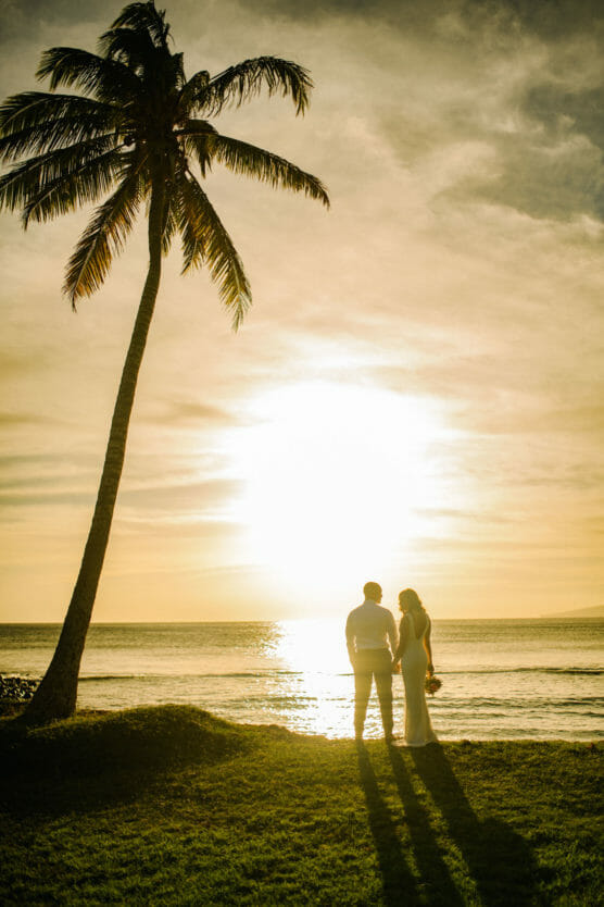 A couple stands hand in hand on a grassy shore at sunset, facing the ocean. A tall palm tree leans to the left, and their shadows stretch back across the grass. The sky is golden, and the sun is low over the water. by Justin Salem Meyer