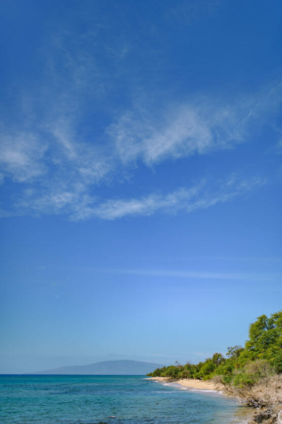 A clear blue sky with wispy clouds stretches above a calm turquoise sea, meeting a narrow sandy beach lined with green trees and shrubs. by Justin Salem Meyer