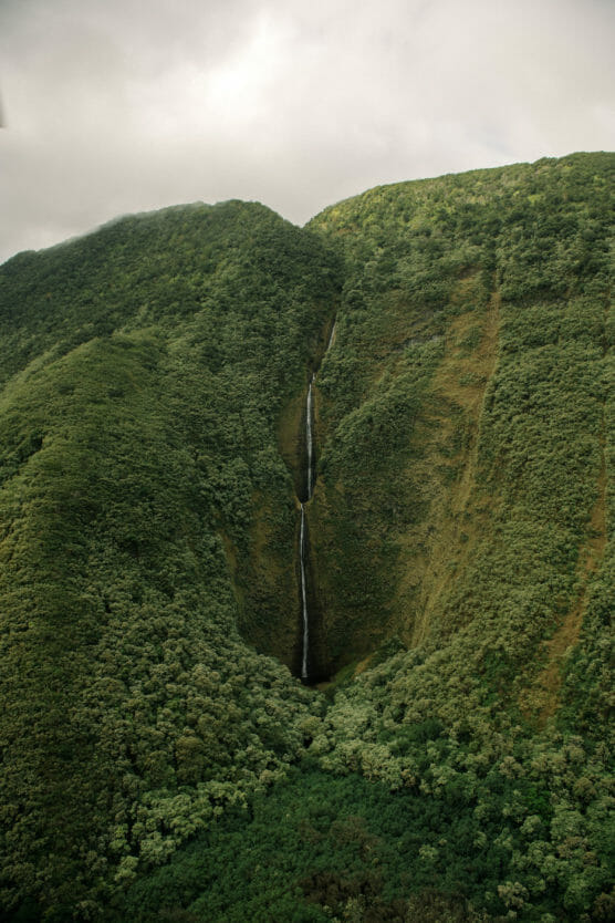 A tall, narrow waterfall cascades down a steep, lush green mountainside, surrounded by dense forest under a cloudy sky. by Justin Salem Meyer