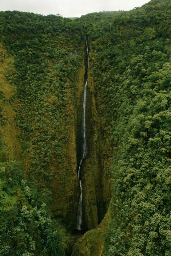 A tall, narrow waterfall cascades down a steep, lush green mountainside covered with dense vegetation, creating a striking vertical line through the forest. by Justin Salem Meyer