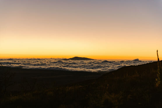 Golden sunrise or sunset over a mountain peak surrounded by a sea of clouds, with a clear sky above and some dark silhouettes of land and vegetation in the foreground. by Justin Salem Meyer