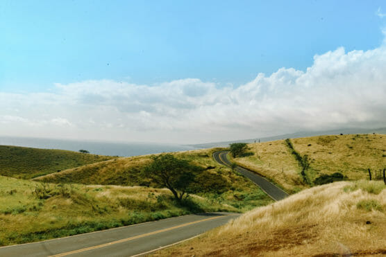 A winding road curves through rolling golden hills under a blue sky with scattered clouds, with some distant greenery and a glimpse of the ocean on the horizon. by Justin Salem Meyer