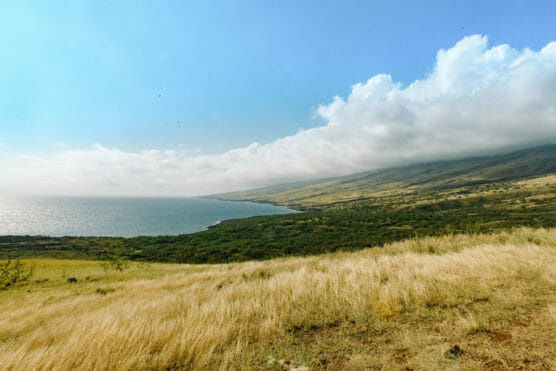 Grassy golden fields slope down to a lush green coastline, meeting the blue ocean under a sky partly covered with fluffy white clouds. by Justin Salem Meyer