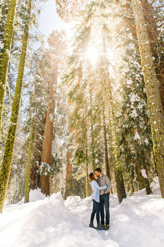 A couple stands close together, kissing in a snowy forest filled with tall trees. Sunlight streams through the branches, casting a warm glow on the winter scene. by Justin Salem Meyer