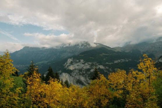 Cloudy mountain landscape with forested slopes and rocky cliffs, yellow autumn foliage in the foreground, and dramatic clouds partially covering the peaks in the background. by Justin Salem Meyer