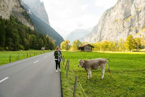 A woman stands beside a road in a green valley with mountains in the background, holding a camera. A brown cow is grazing nearby on the grass, and a wooden cabin stands in the distance under a partly cloudy sky. by Justin Salem Meyer