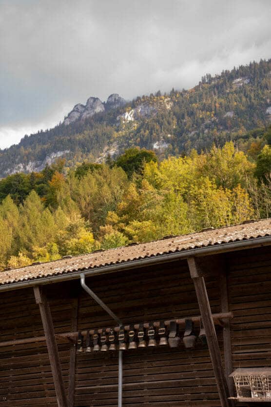 A row of cowbells hangs on the wooden wall of a rustic building, with a forested hillside and rocky mountain peaks in the background under a cloudy sky. by Justin Salem Meyer