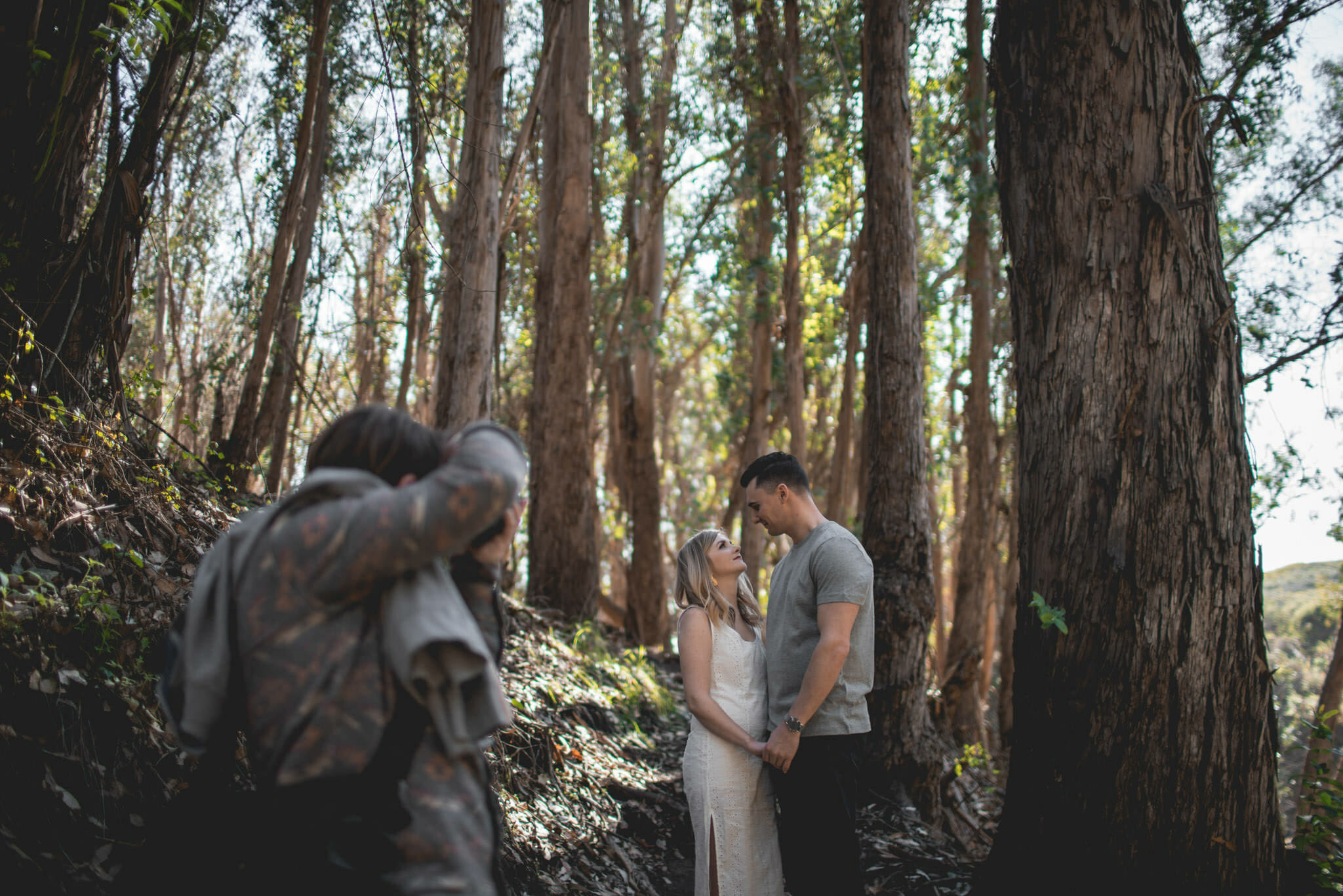 engagement photos of couple in eucalyptus forest in california