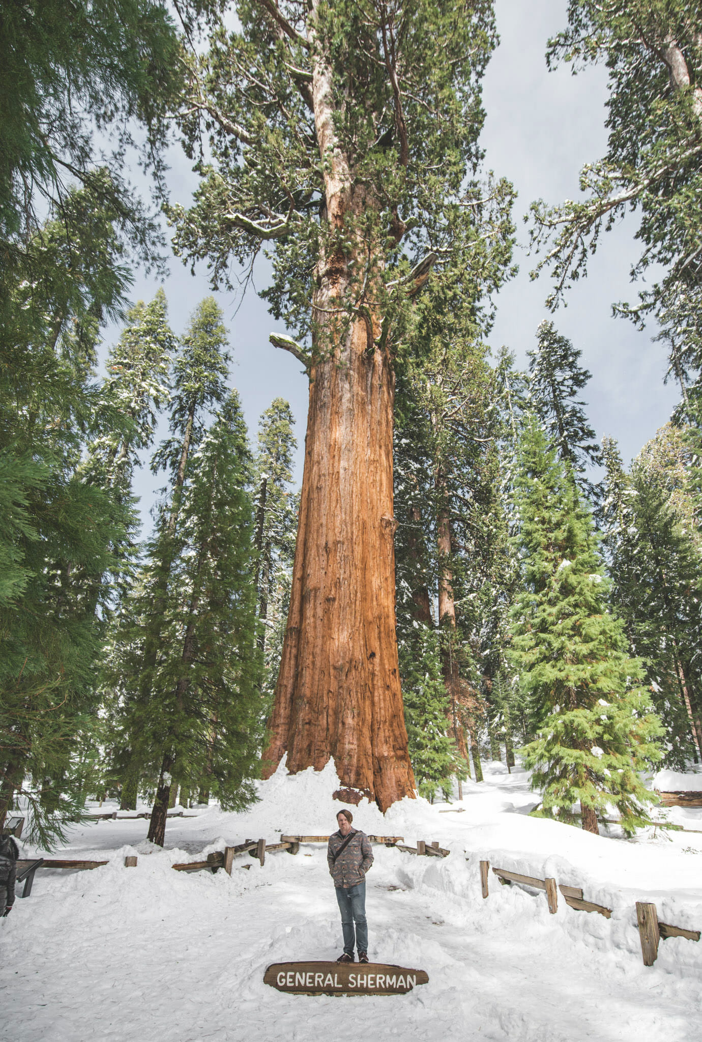 very attractive man standing in front of General Sherman