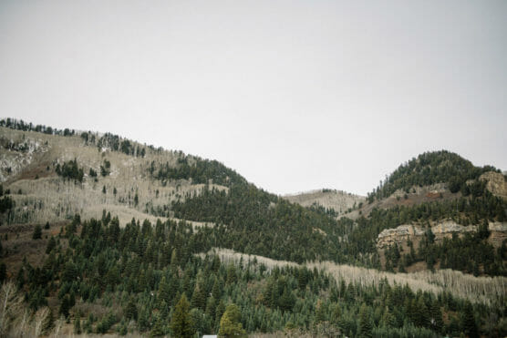 Green pine trees cover rolling hills and mountains under an overcast gray sky. Some bare trees are scattered among the evergreens, and rocky outcrops are visible on the right side of the image. by Justin Salem Meyer