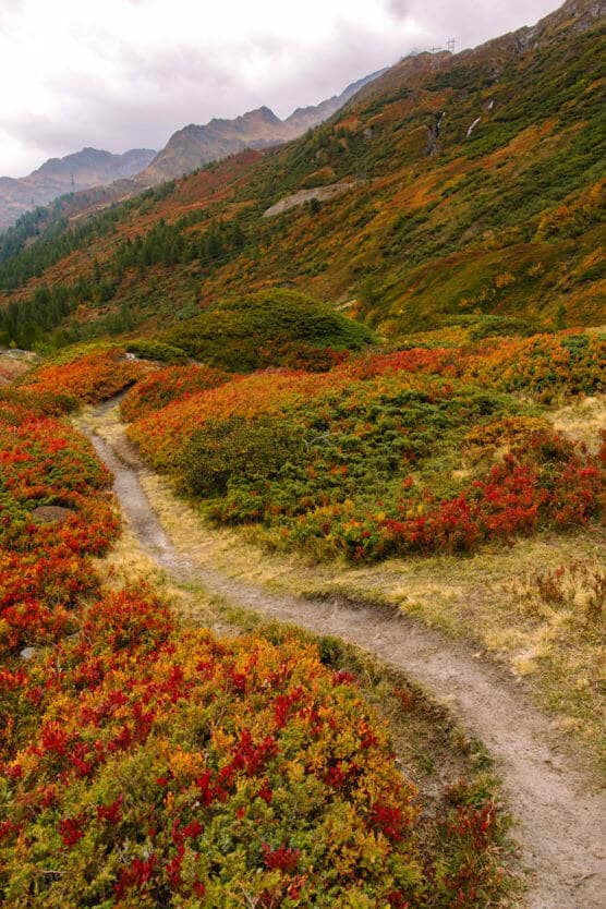 Fall colors changing in Switzerland