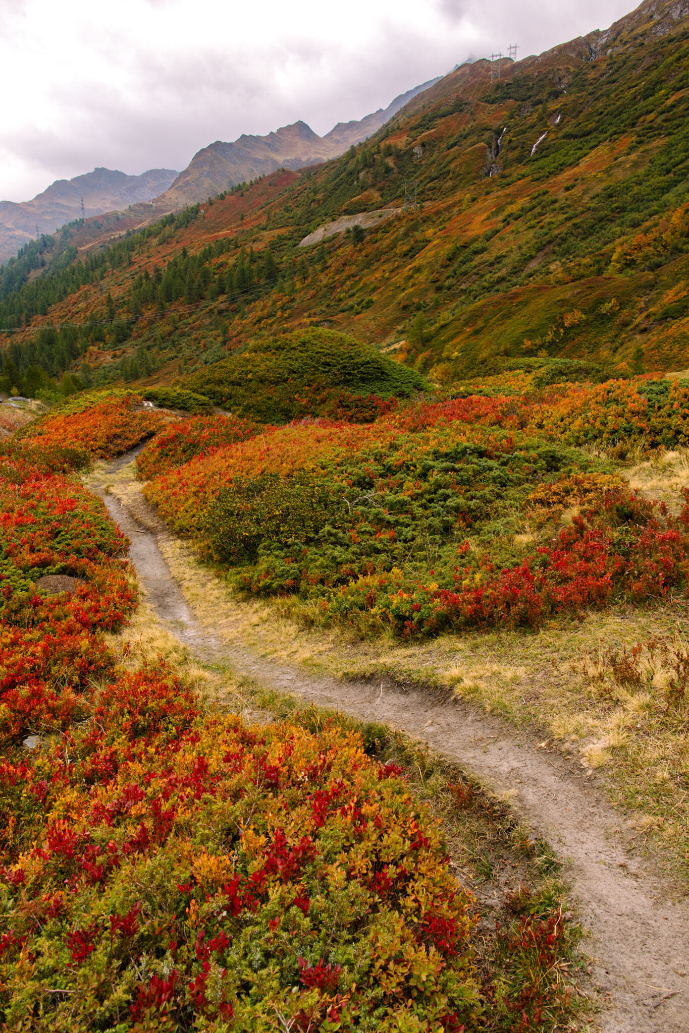 Fall colors changing in Switzerland