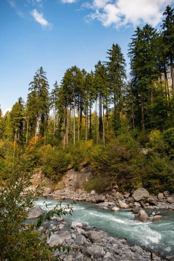 A clear, fast-flowing river runs over rocks in the foreground, with tall pine trees and lush green forest on the riverbank under a blue sky with scattered clouds. by Justin Salem Meyer