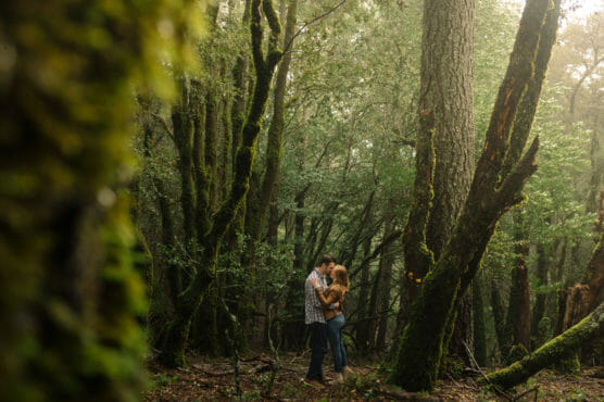 A couple stands closely together, embracing and about to kiss in a lush, misty forest surrounded by tall, moss-covered trees and dense greenery. by Justin Salem Meyer