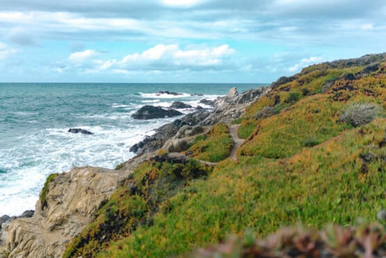 A rocky coastline with waves crashing against the shore, under a partly cloudy sky. A narrow dirt path winds through green and orange coastal vegetation along the cliff’s edge. by Justin Salem Meyer
