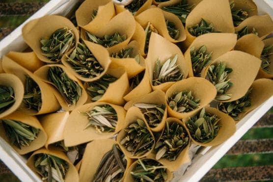 A box filled with small bouquets of green leafy branches wrapped in brown paper cones, arranged closely together in a neat, organized pattern. by Justin Salem Meyer