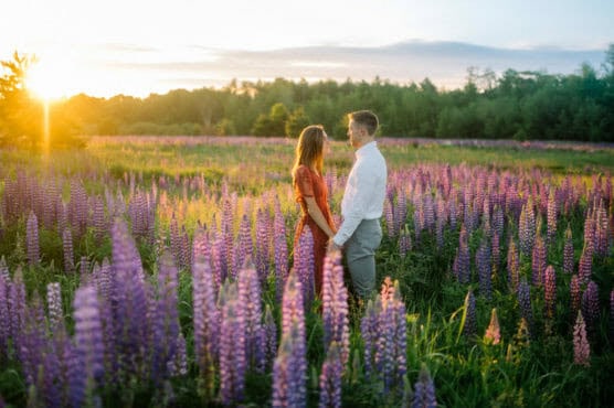 A couple stands facing each other, holding hands in a field of blooming purple lupines at sunset, with soft sunlight and green trees in the background. by Justin Salem Meyer