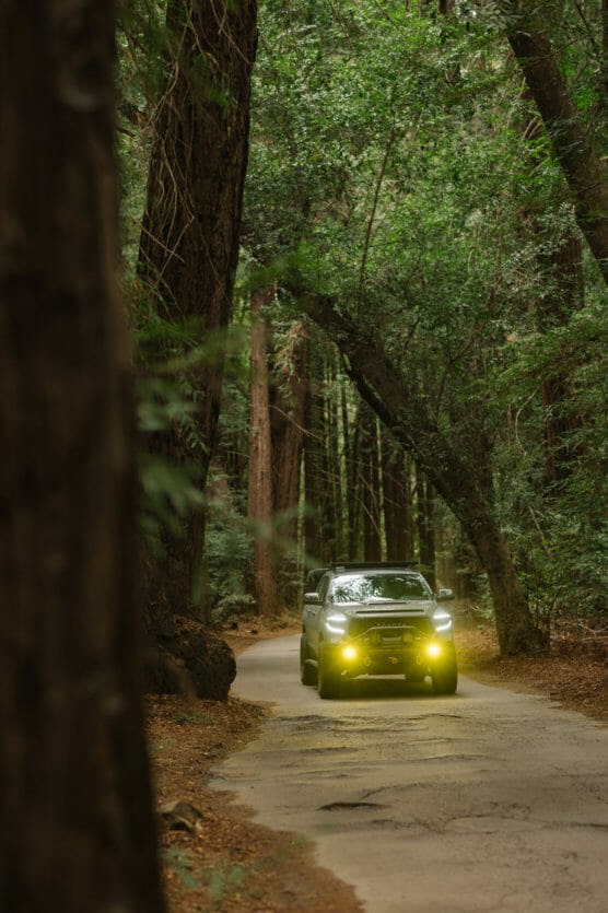 A black SUV with yellow fog lights drives along a narrow, winding road surrounded by tall, dense trees in a forest. by Justin Salem Meyer